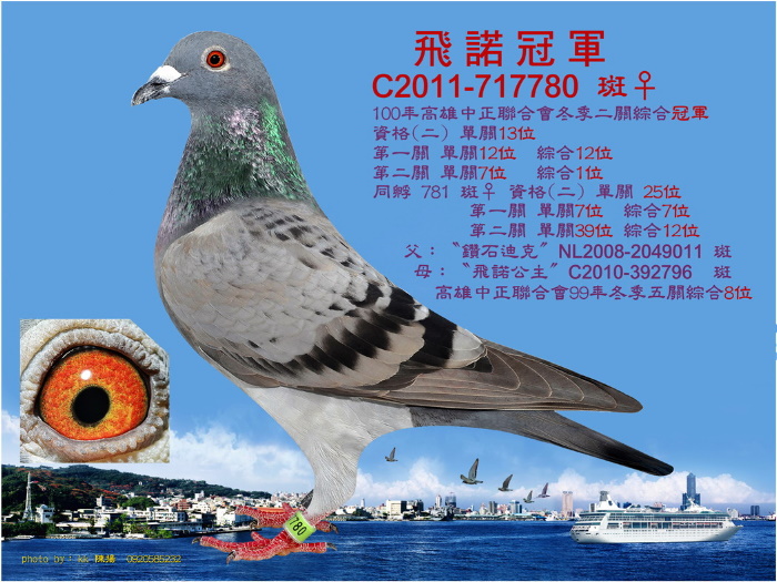 點擊觀看原圖