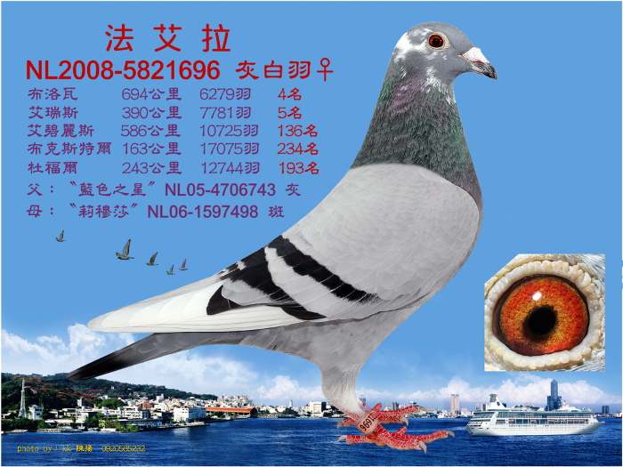 點擊觀看原圖