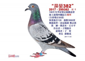 2017-299382 ♀