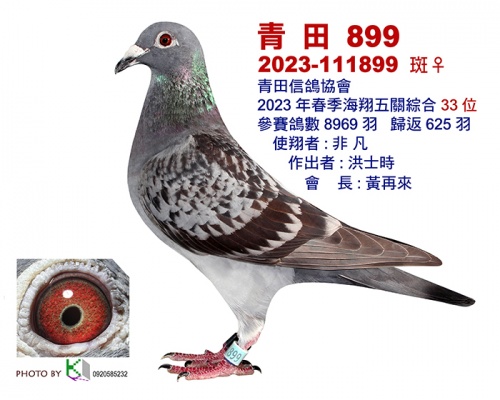 2023-111899 ♀