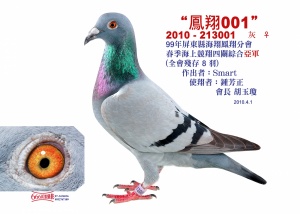 10-213001 ♀