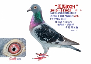 10-213021 ♀