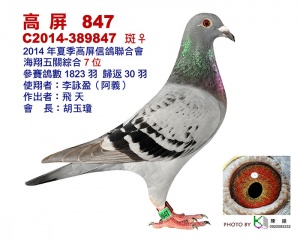 14-389847 ♀