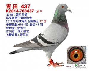14-768437 ♀