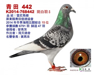 14-768442 ♂