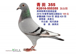 15-555355 ♂