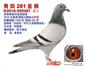 16-555281 ♂