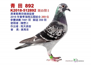 18-512892 ♂