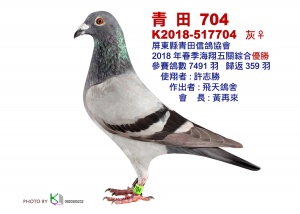 18-517704 ♀