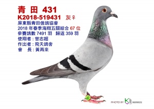 18-519431 ♀