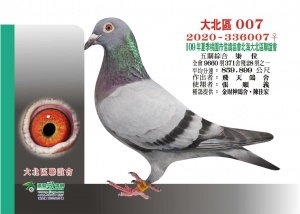 20-336007 ♀