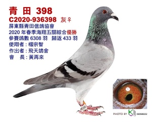 20-936398 ♀