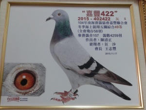 2015-402422 ♀