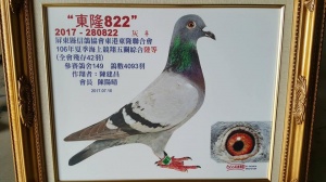 2017-280822 ♀