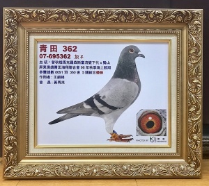 07-695362 ♀