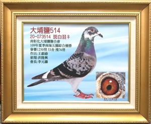 20-073514 ♀